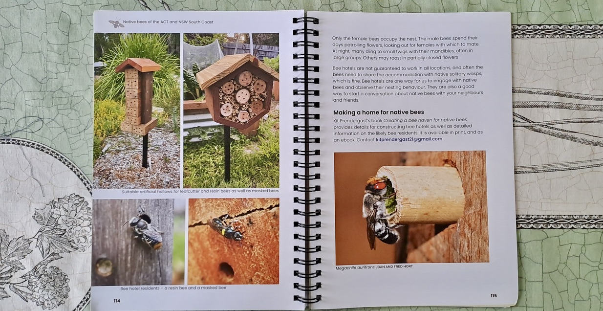 Bee hotels for native bees