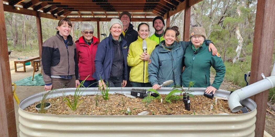 building a rain garden