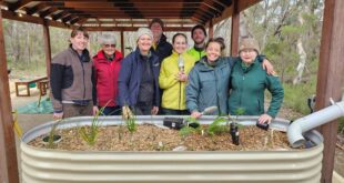 building a rain garden