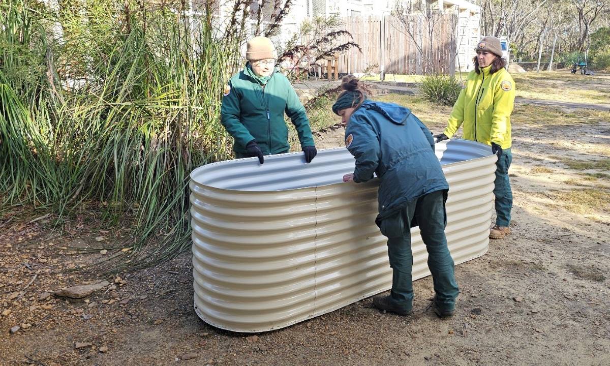 raised bed for rain garden